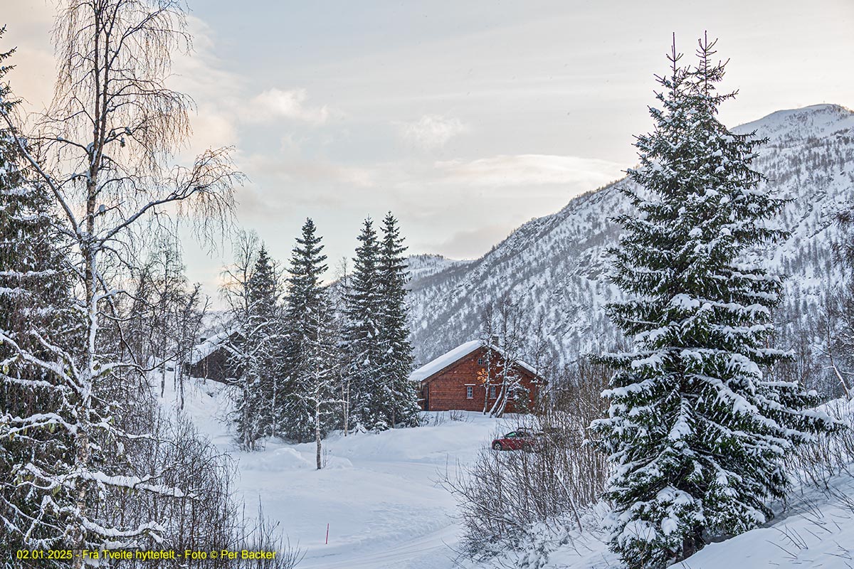Frå Tveite hyttefelt