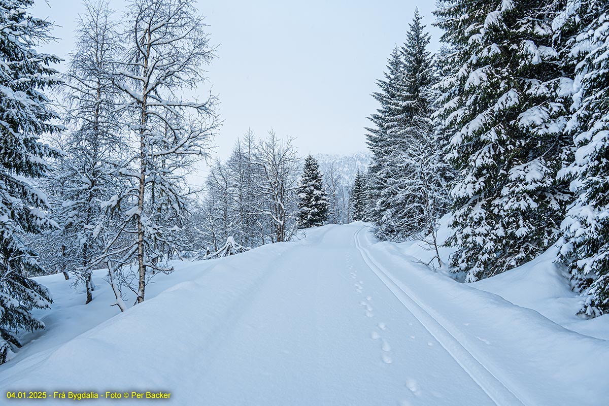 Frå Bygdalia
