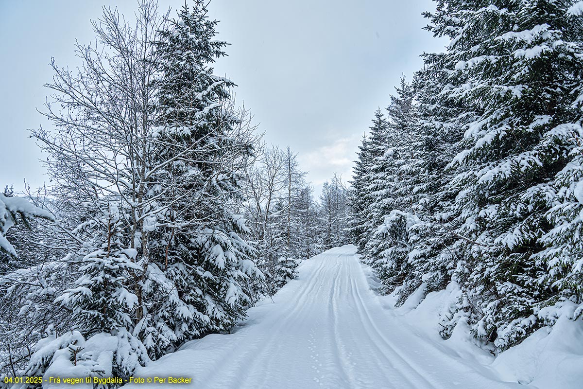 Frå vegen til Bygdalia