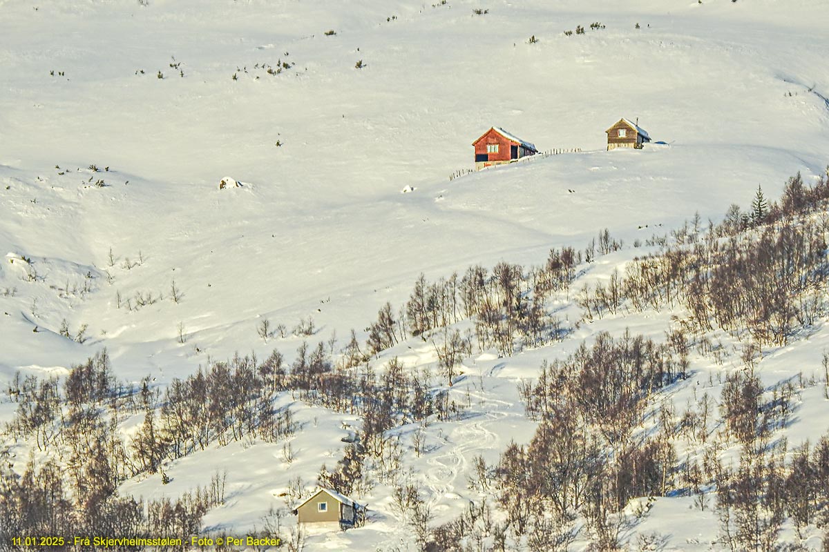 Frå Skjervheimsstølen