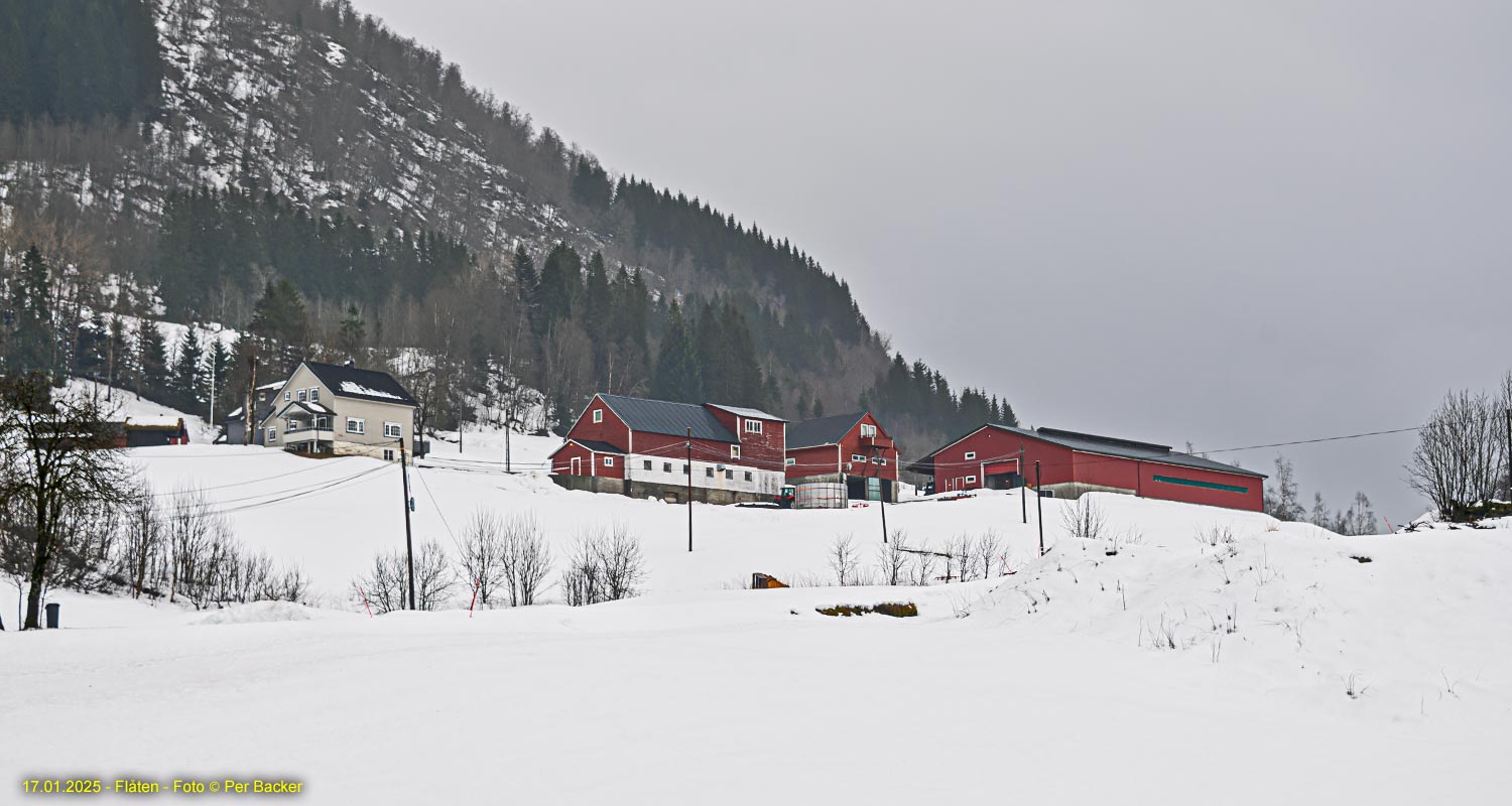 Flåten