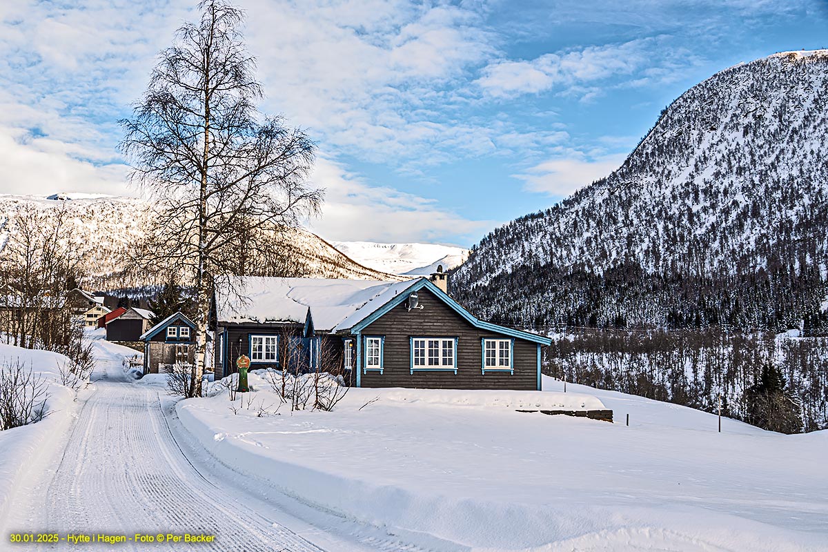 Hytte i Hagen