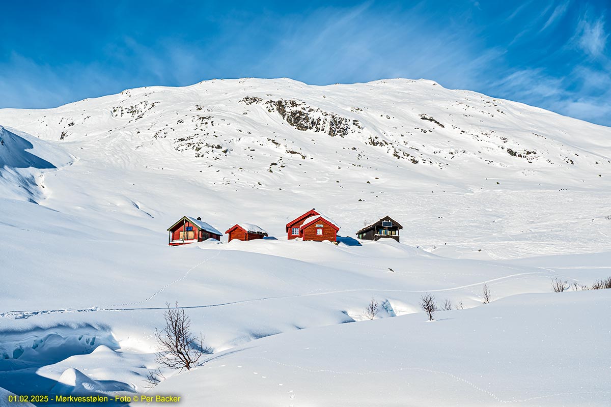 Frå Mørkvesstølen