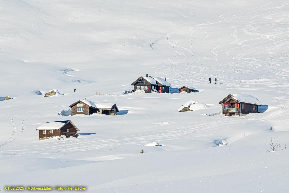 Frå Mørkvesstølen