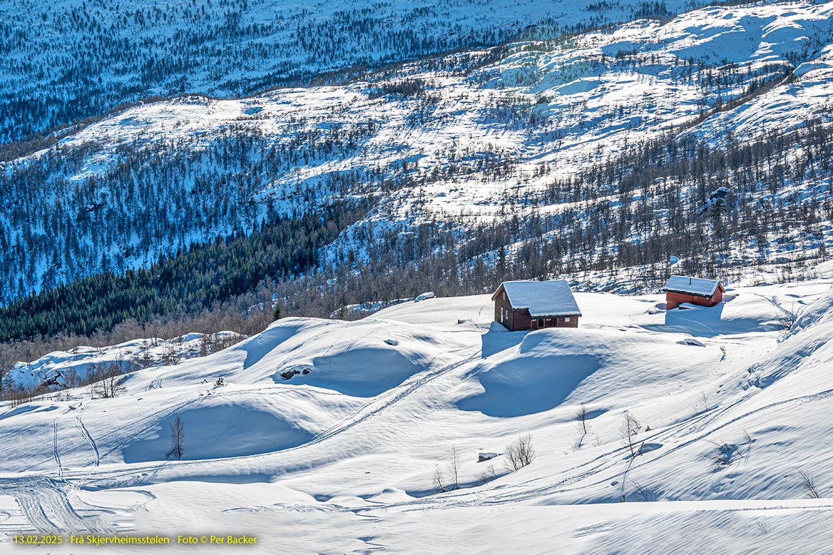 Frå Skjervheimsstølen