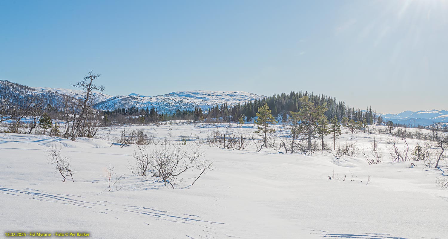 Frå Myrane