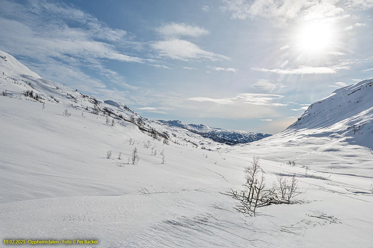 Oppheimsdalen