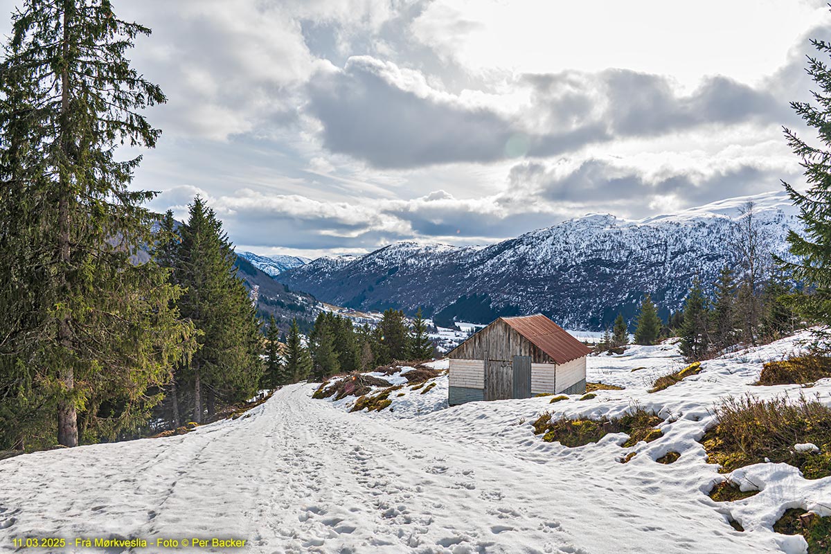 Frå Mørkveslia