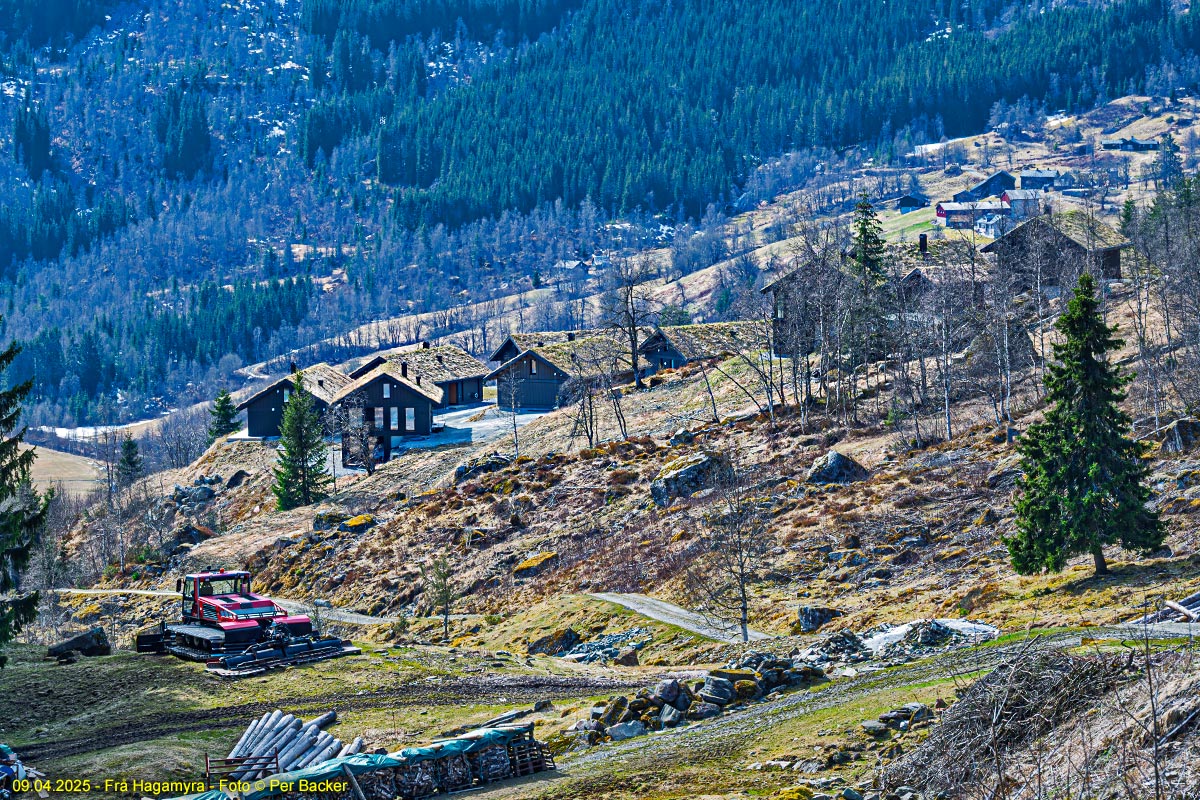 Frå Hagamyra