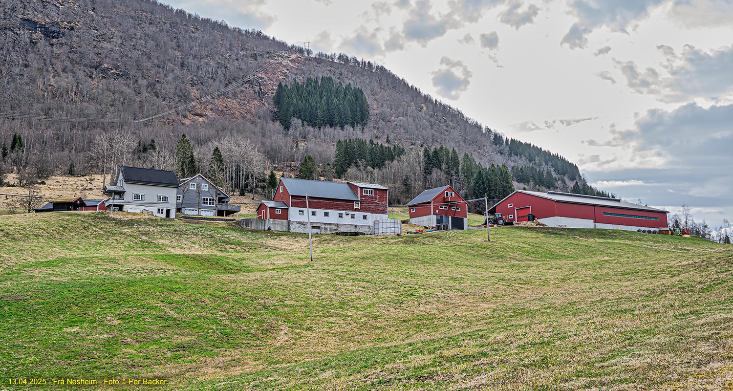 Frå Nesheim
