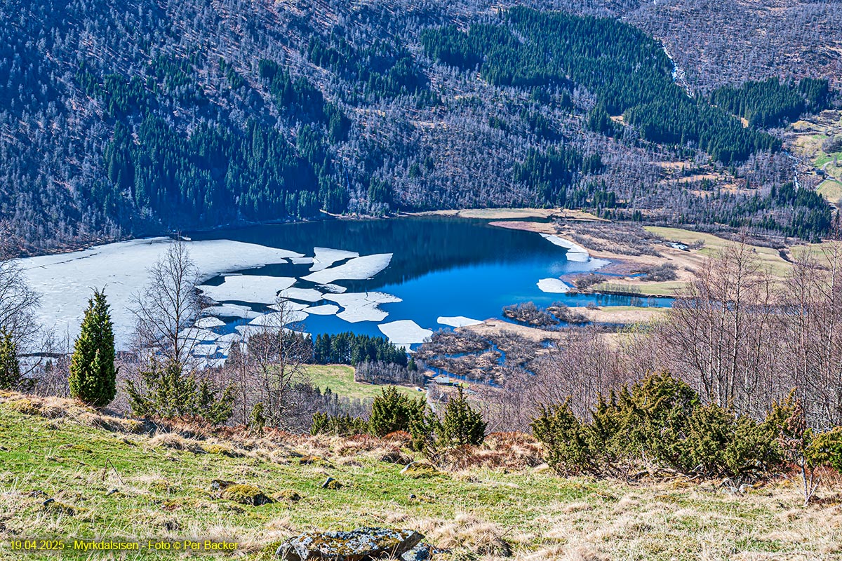 Myrkdalsisen