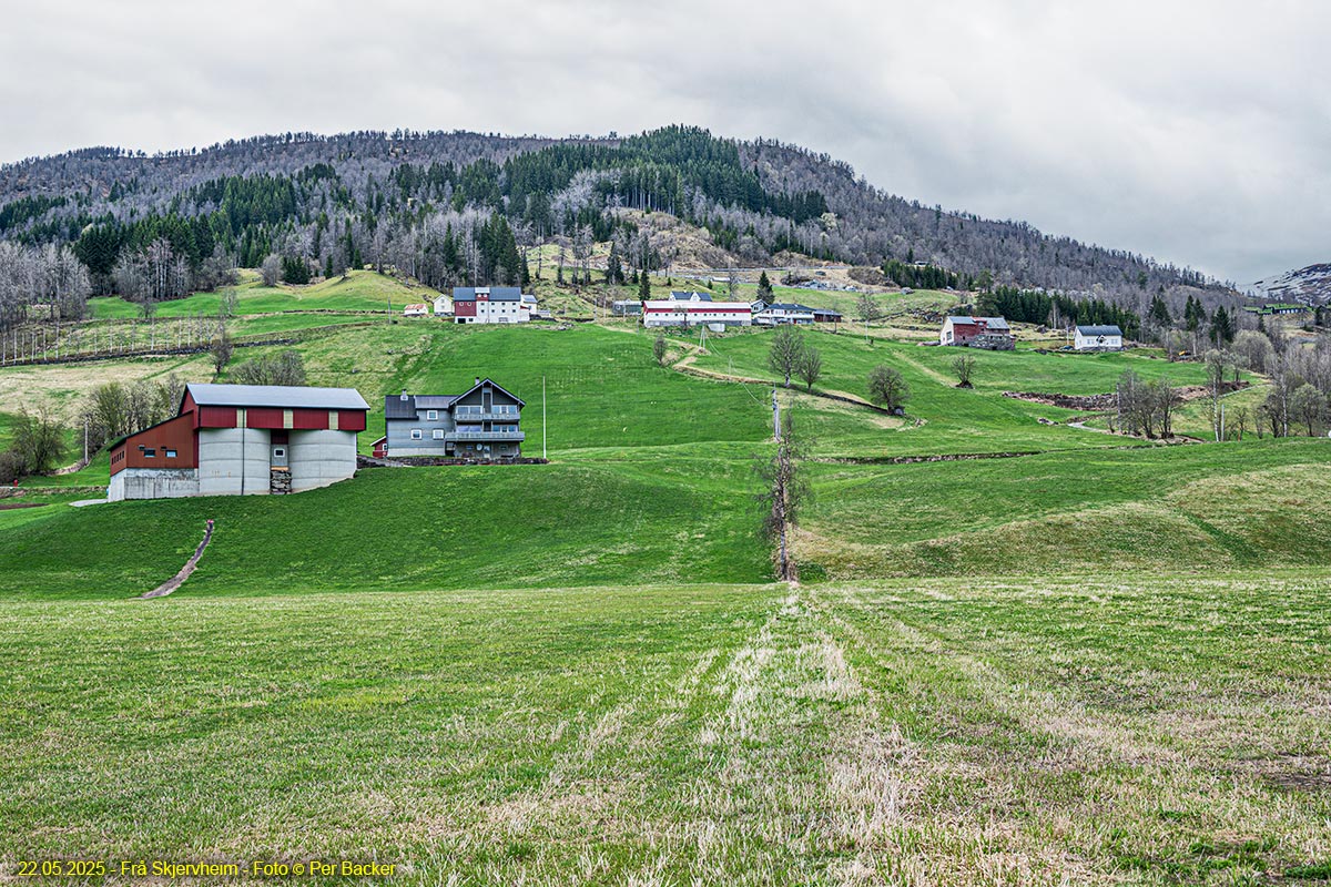 Frå Skjervheim
