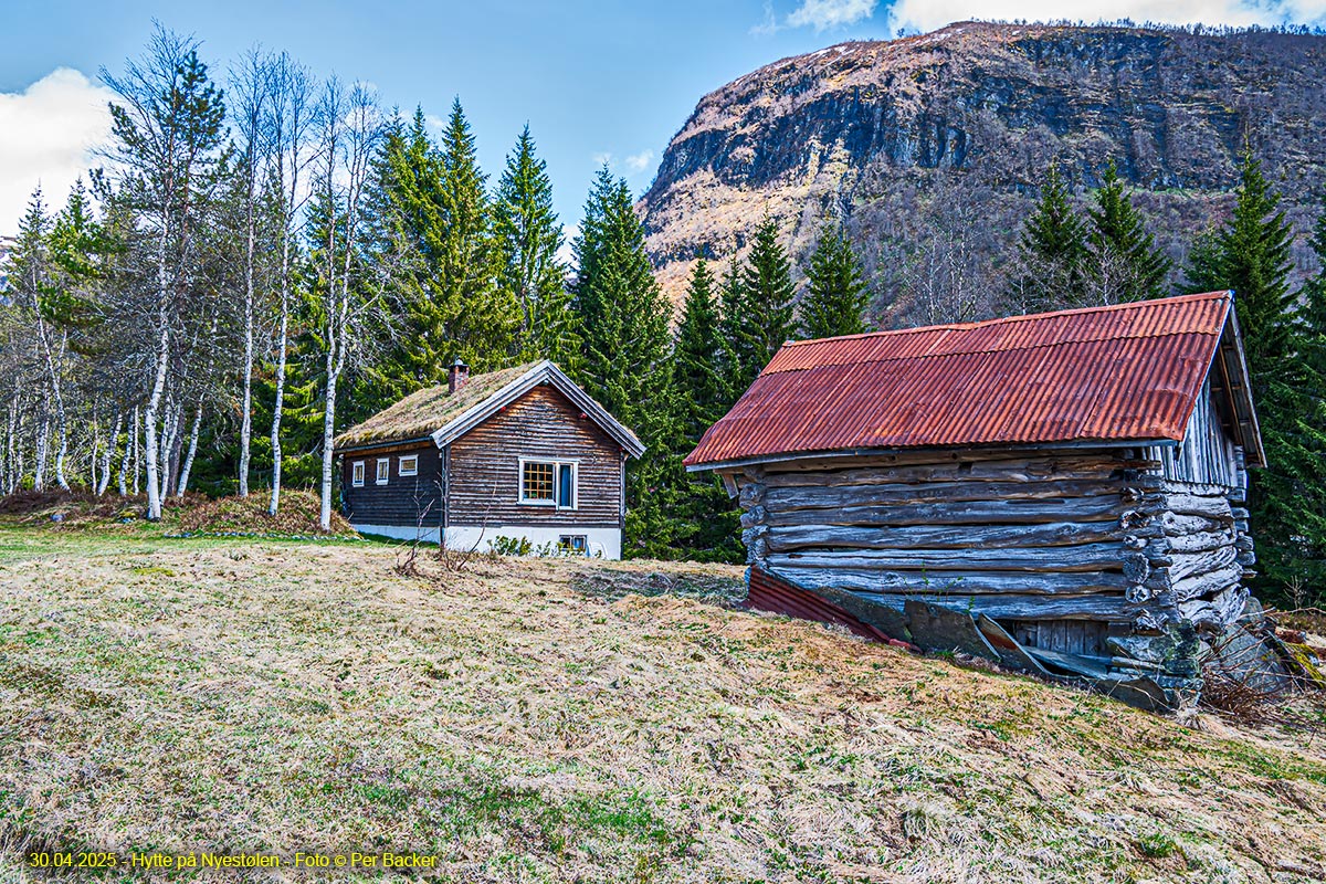 Hytte på Nyestølen
