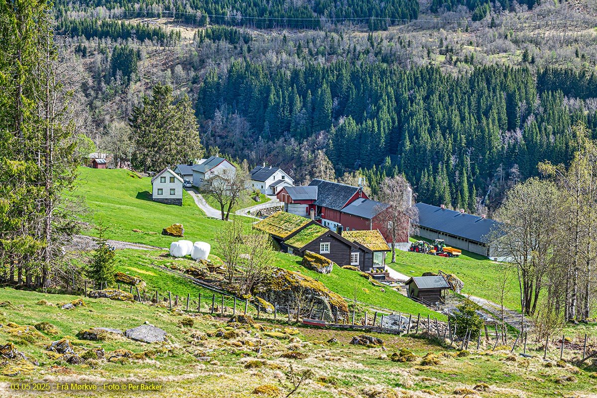 Frå Mørkve