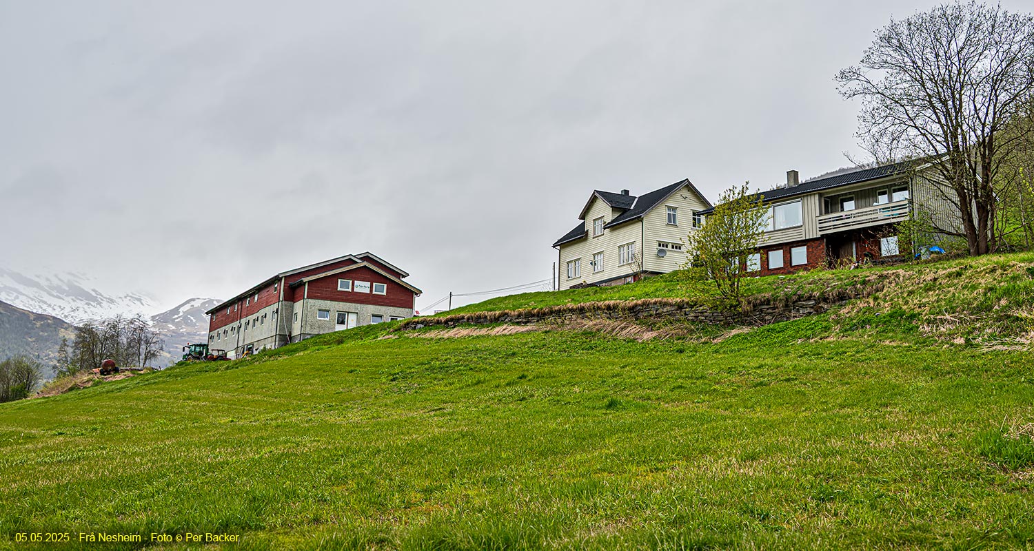 Frå Nesheim