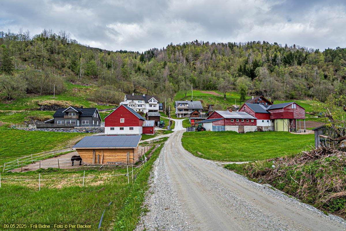 Frå Bidne