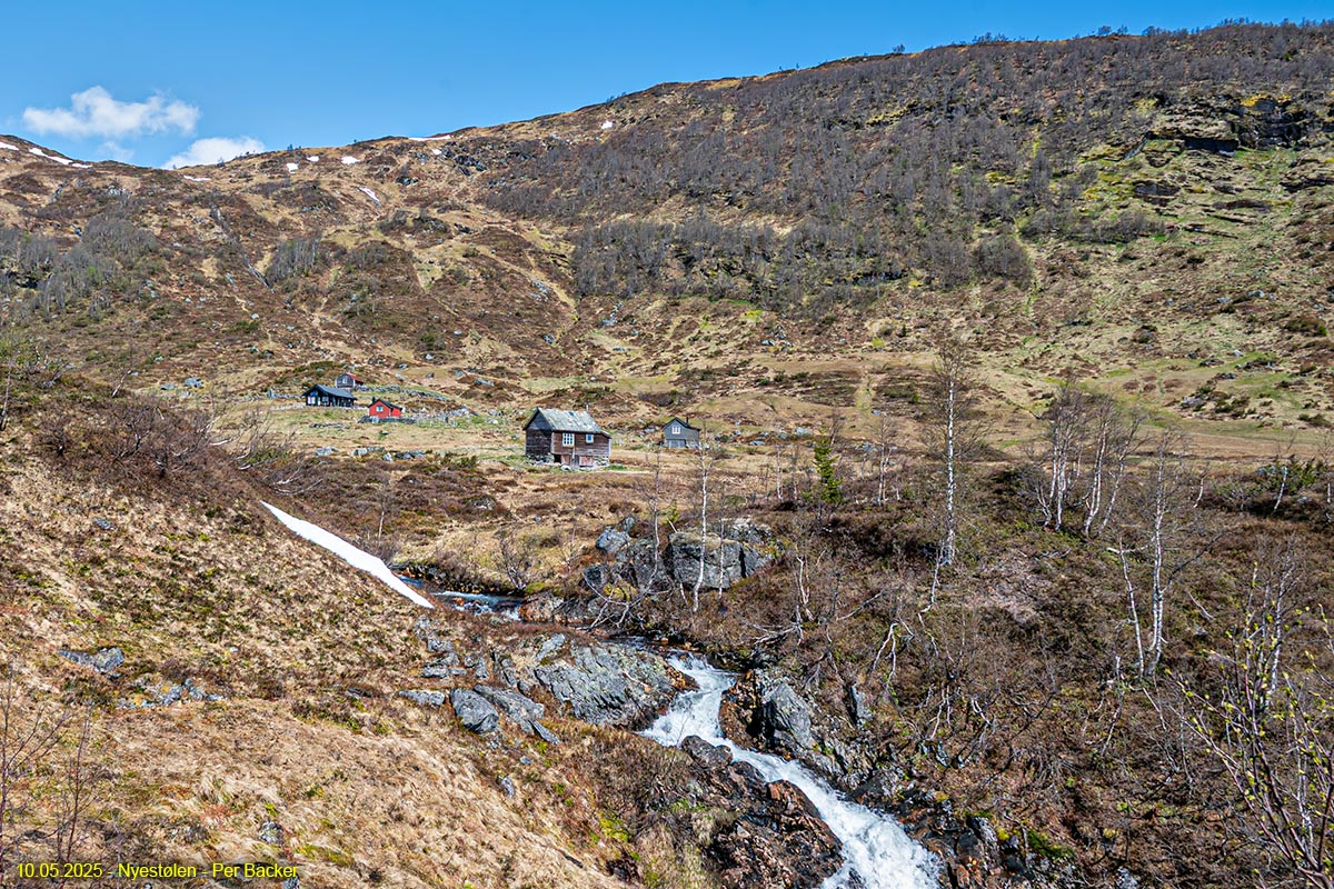 Frå Nyestølen