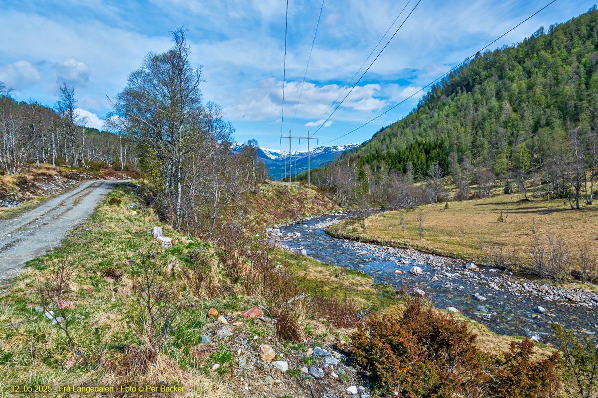 Frå Langedalen