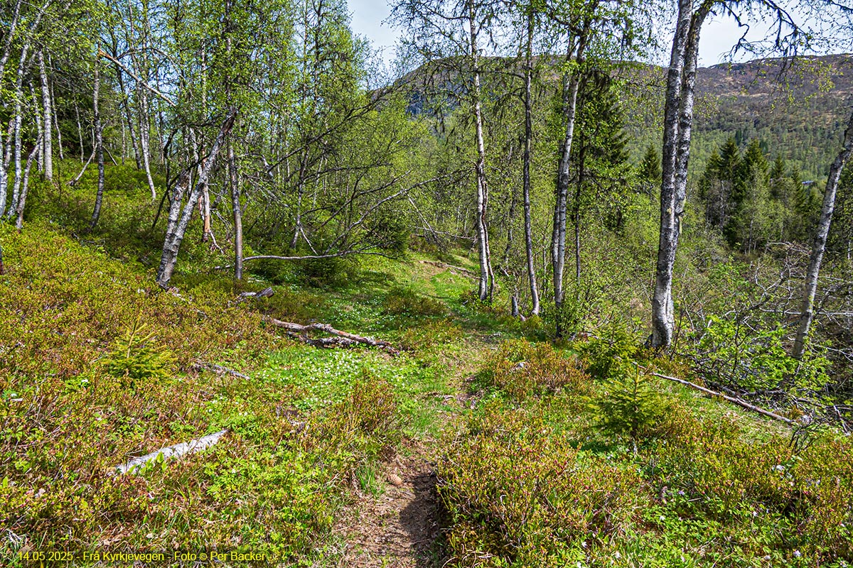 Frå Kyrkjevegen