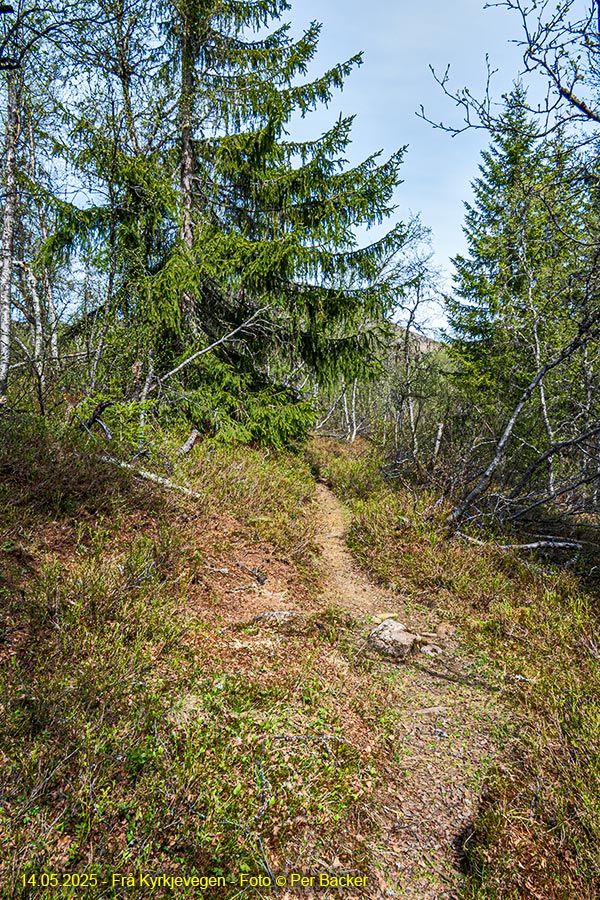 Frå Kyrkjevegen