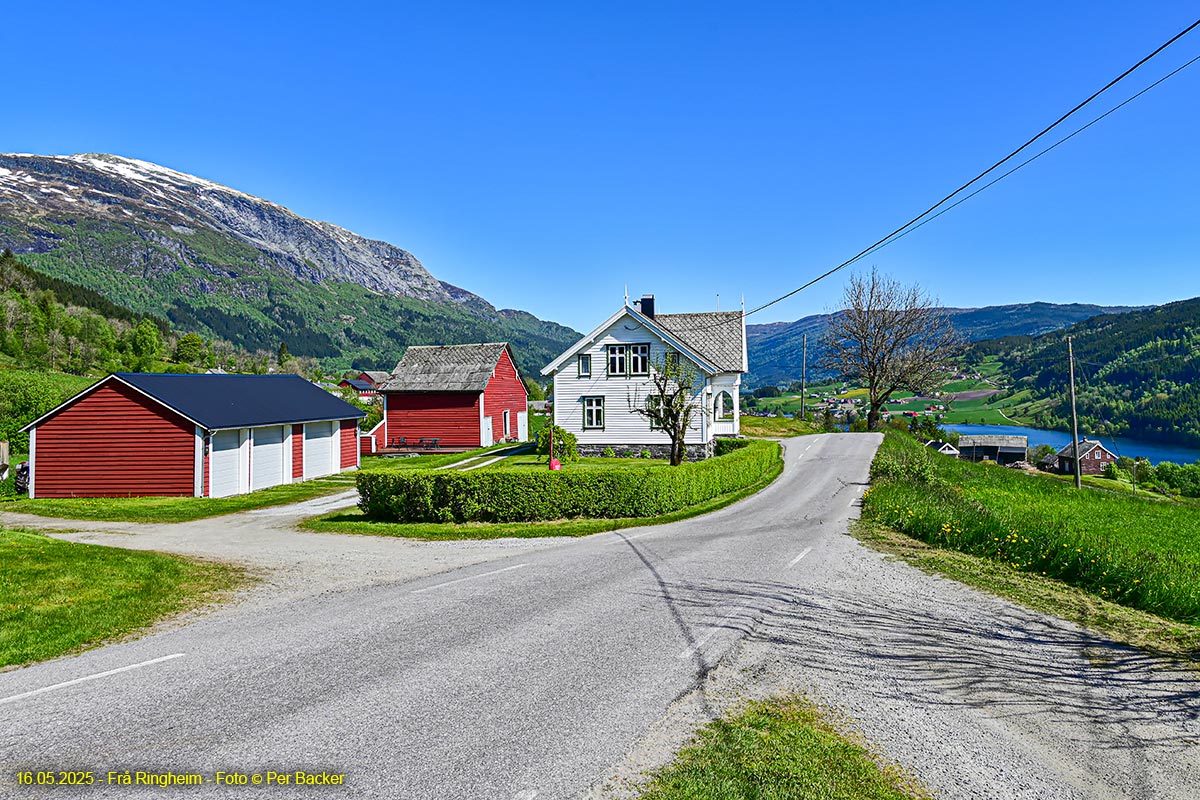 Frå Ringheim