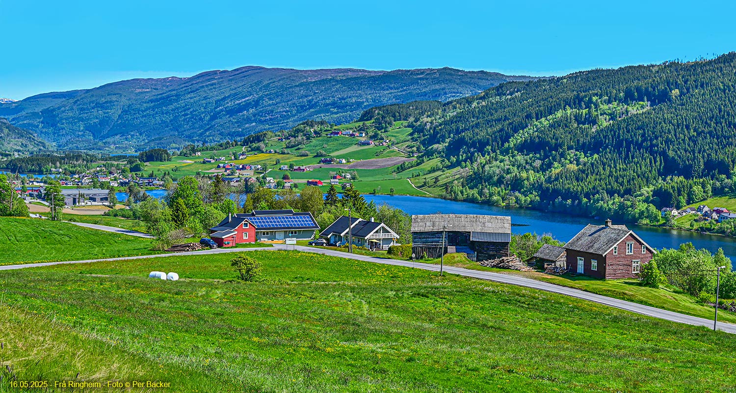Frå Ringheim