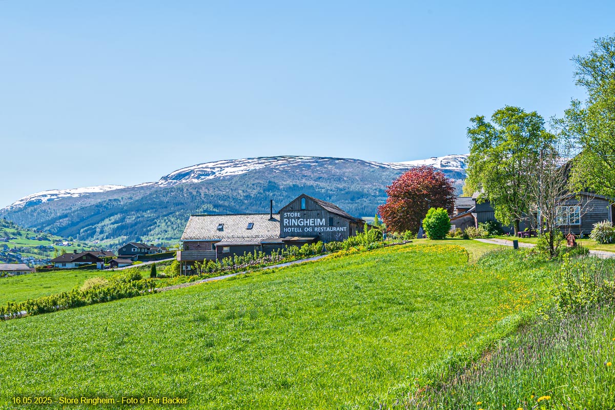 Store Ringheim