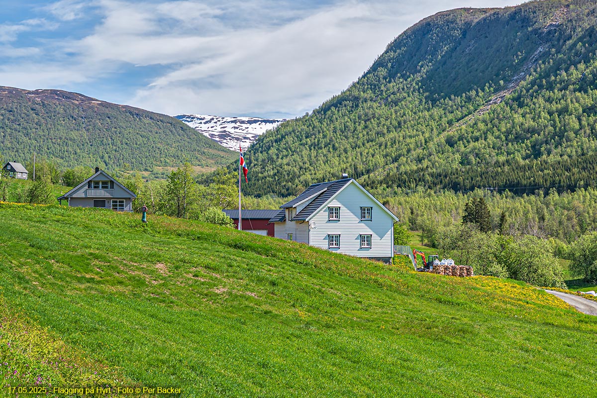 Flagging på Hyrt