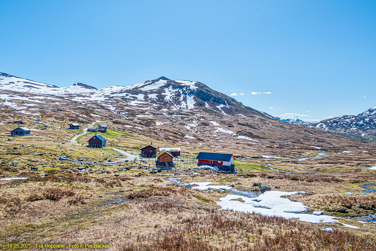 Frå Reppane