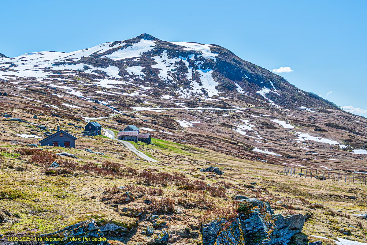 Frå Reppane