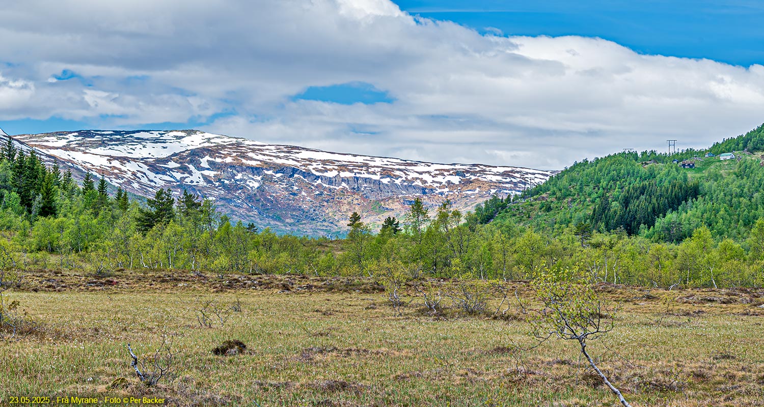 Frå Myrane