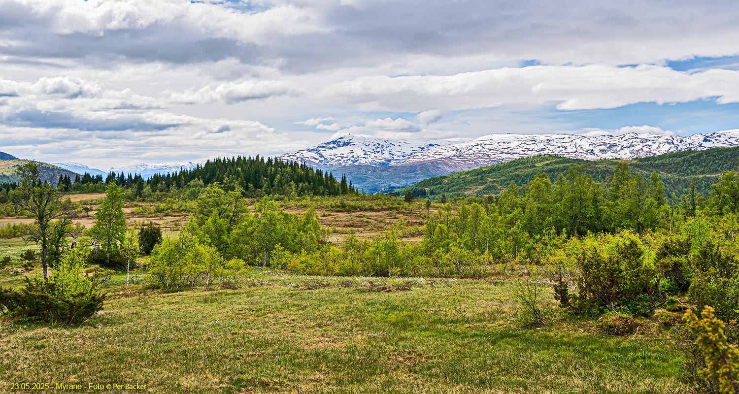 Frå Myrane