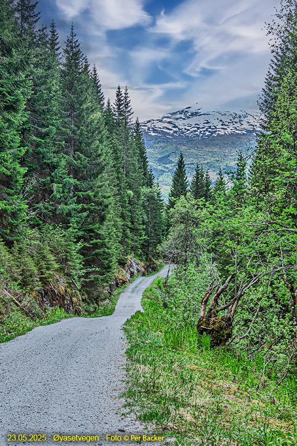 Frå Øyasetvegen