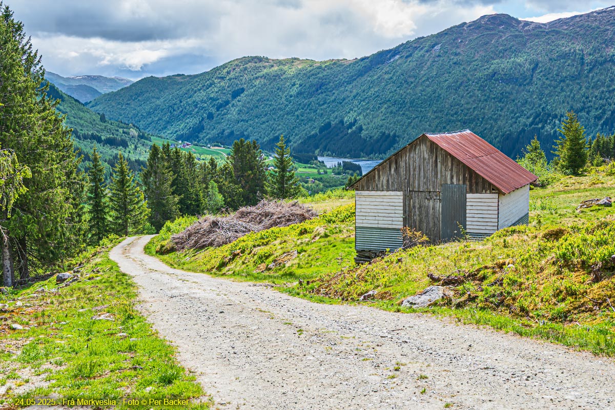 Frå Mørkveslia
