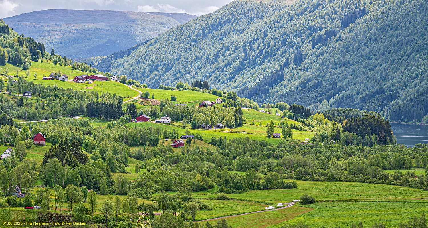 Frå Nesheim
