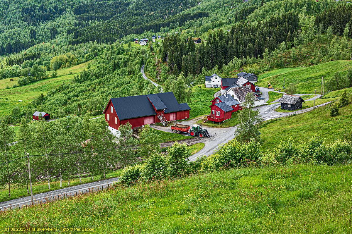 Frå Skjervheim