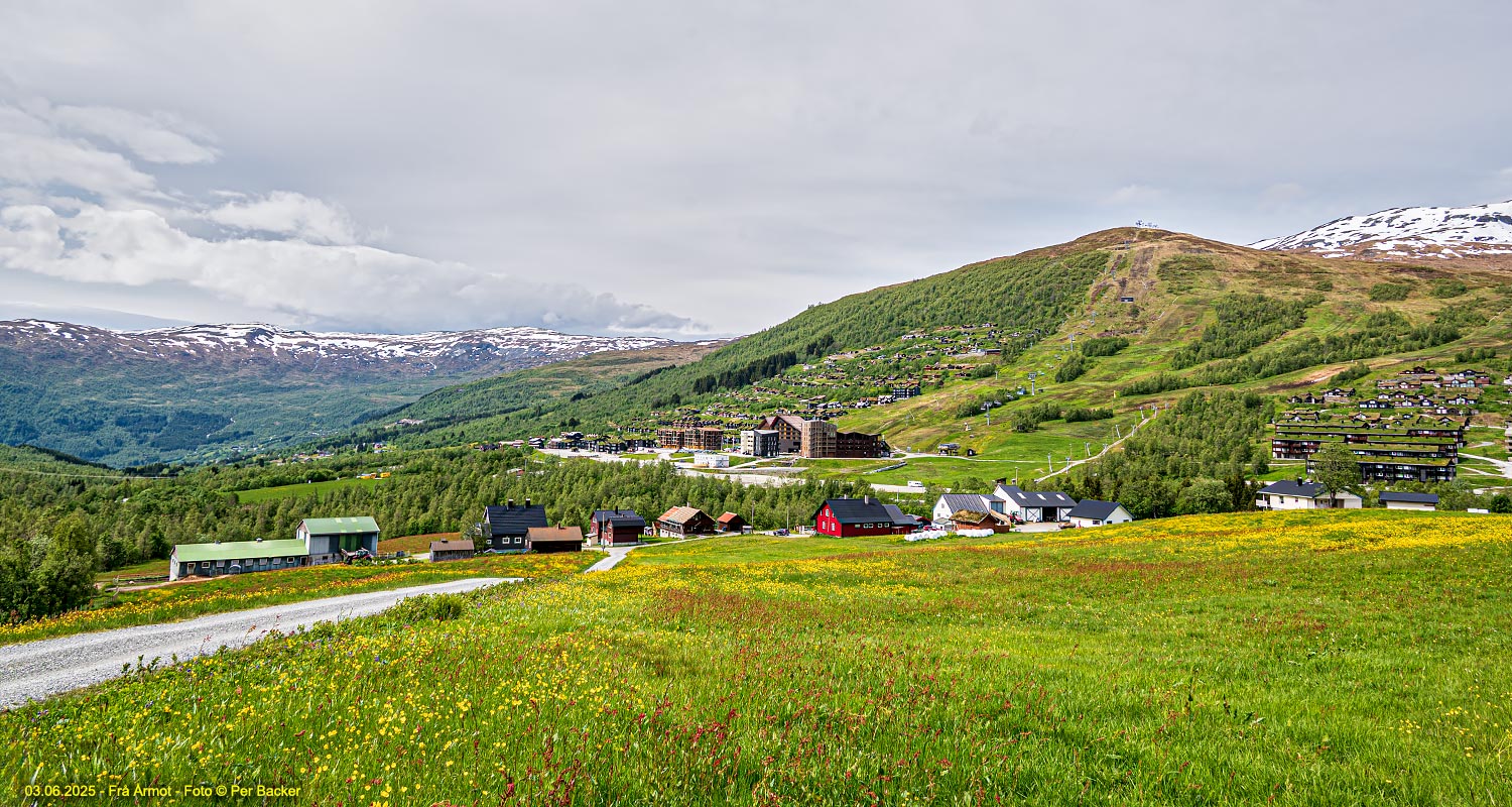 Frå Årmot