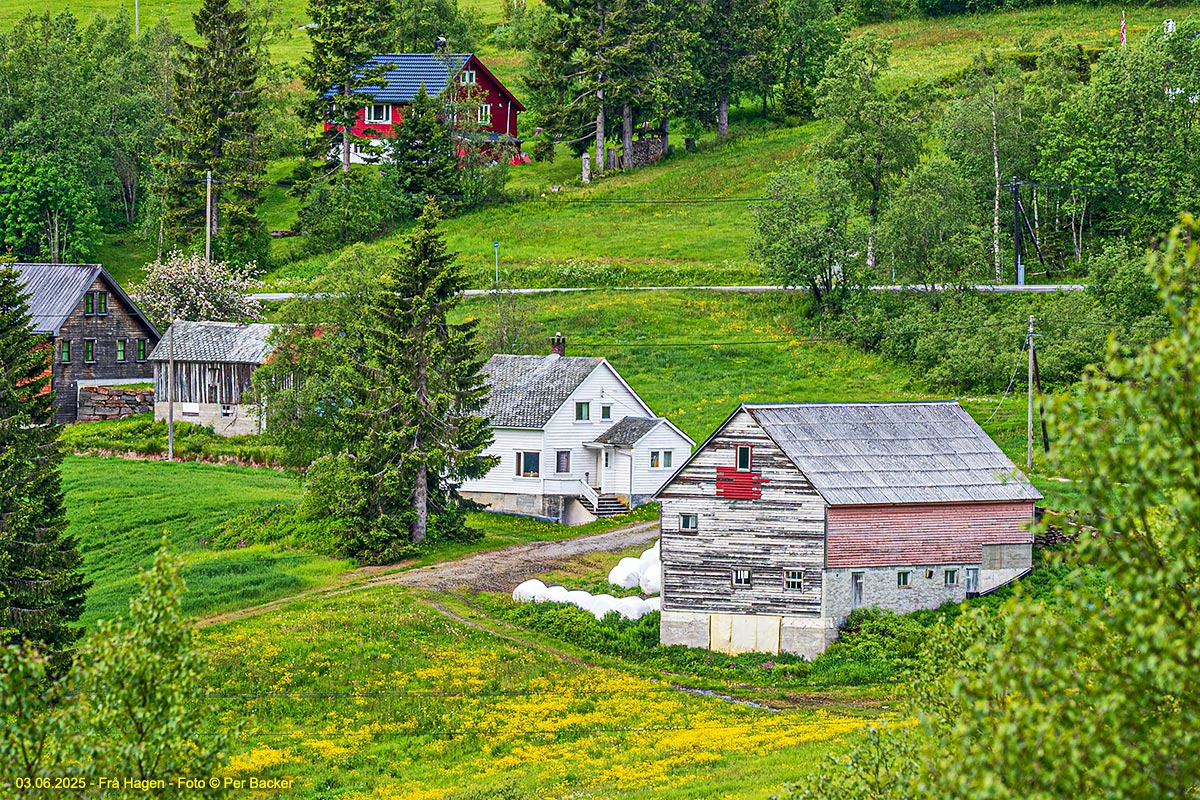 Frå Hagen