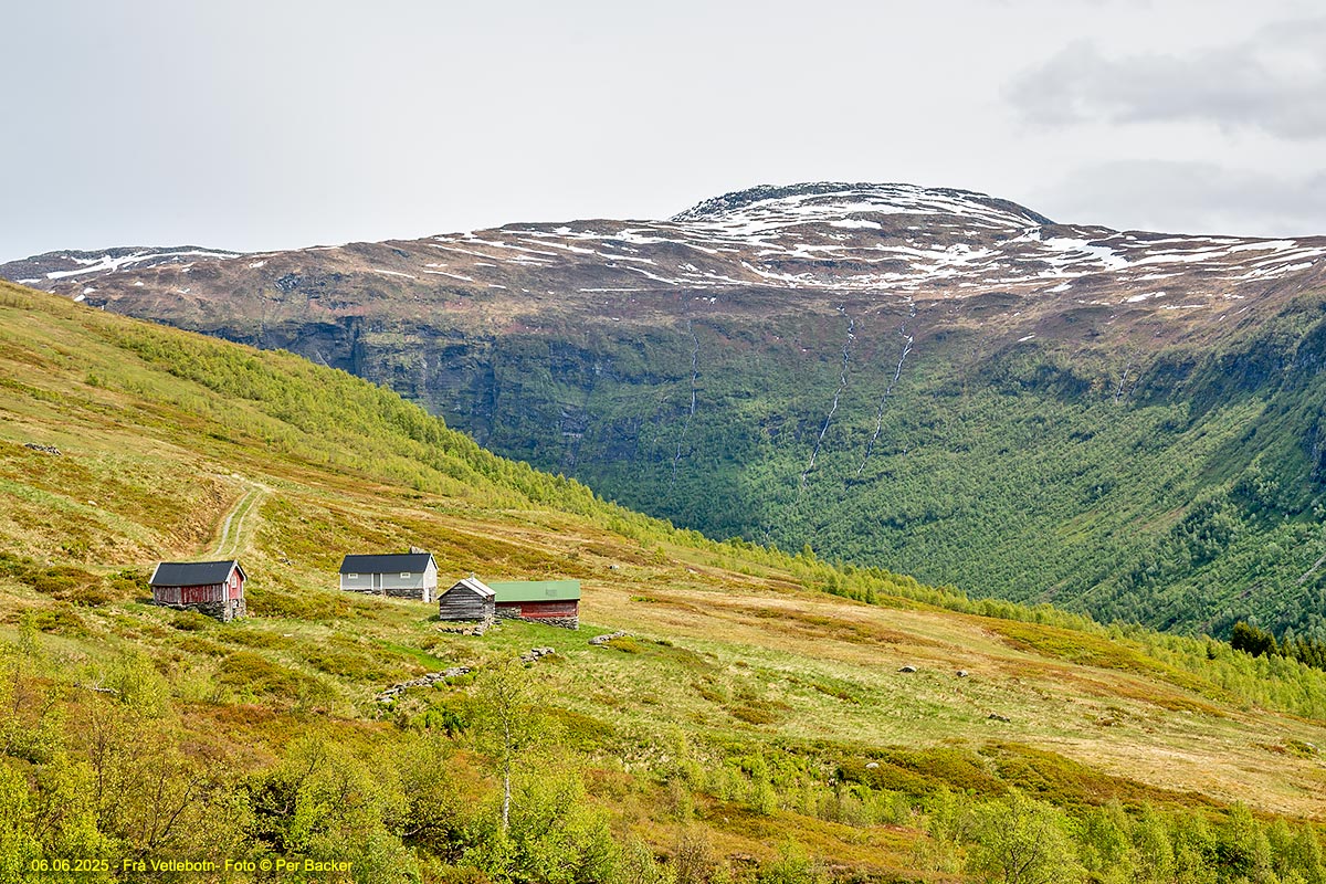 Frå Vetlebotn