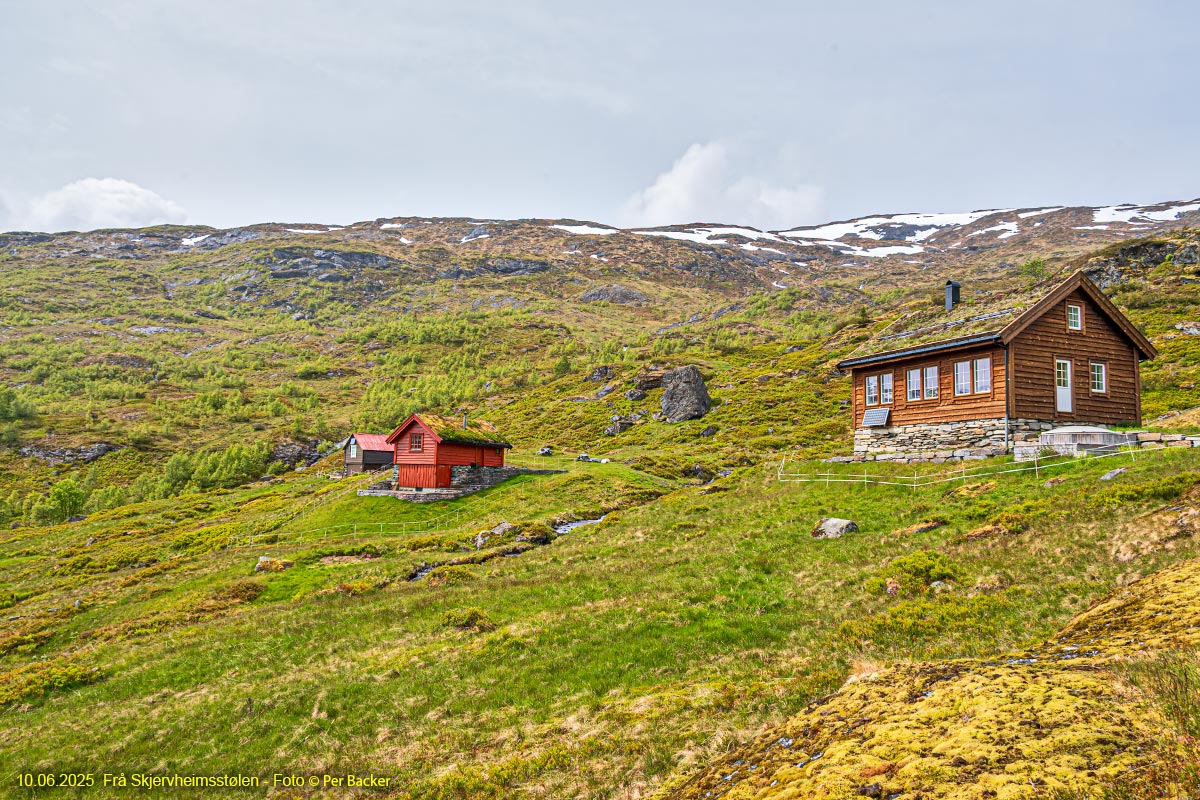 Frå Skjervheimsstølen