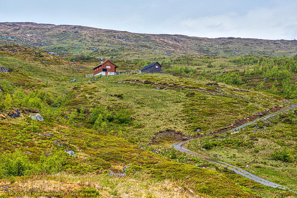 Frå Skjervheimsstølen
