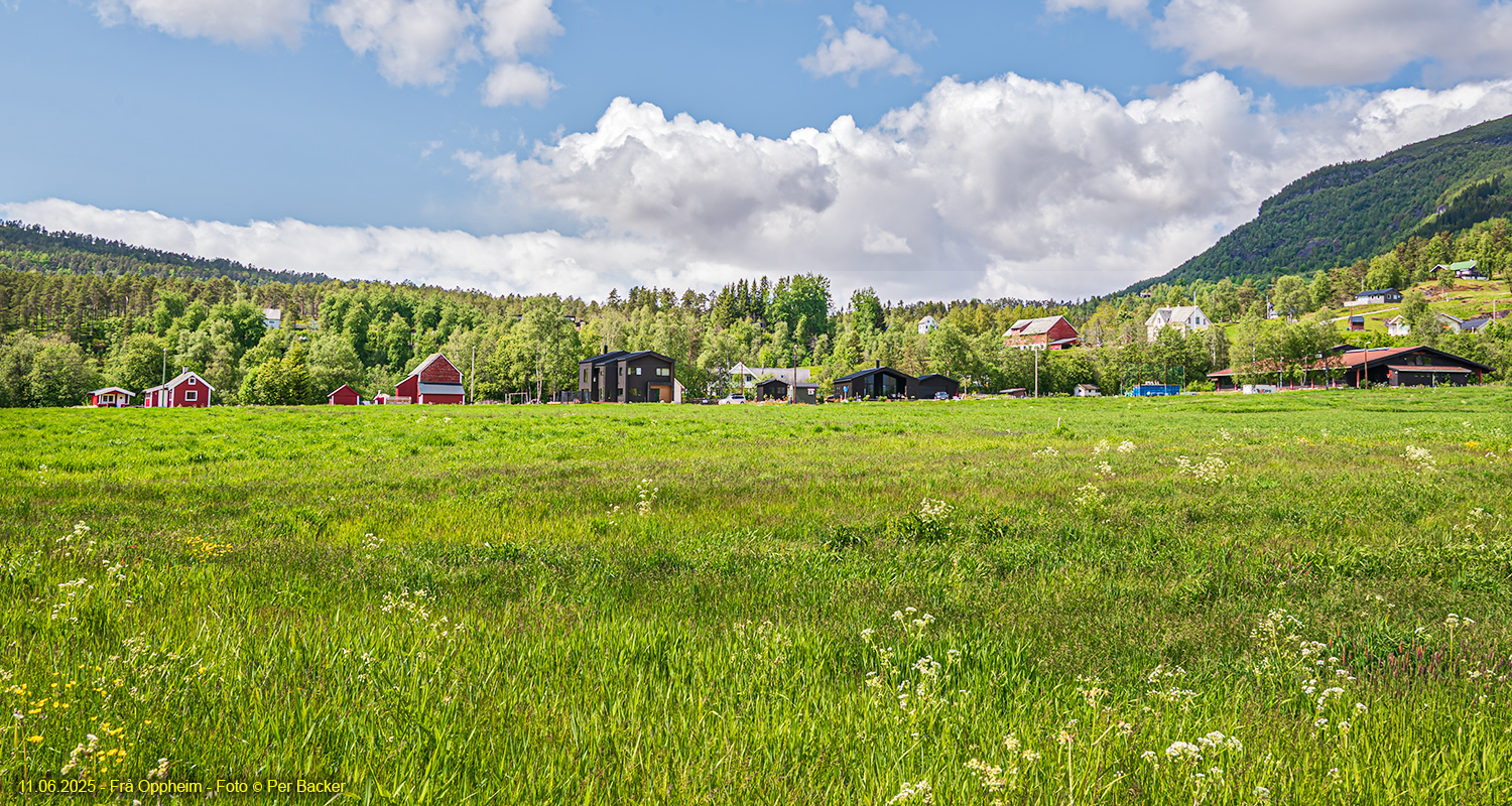 Frå Oppheim