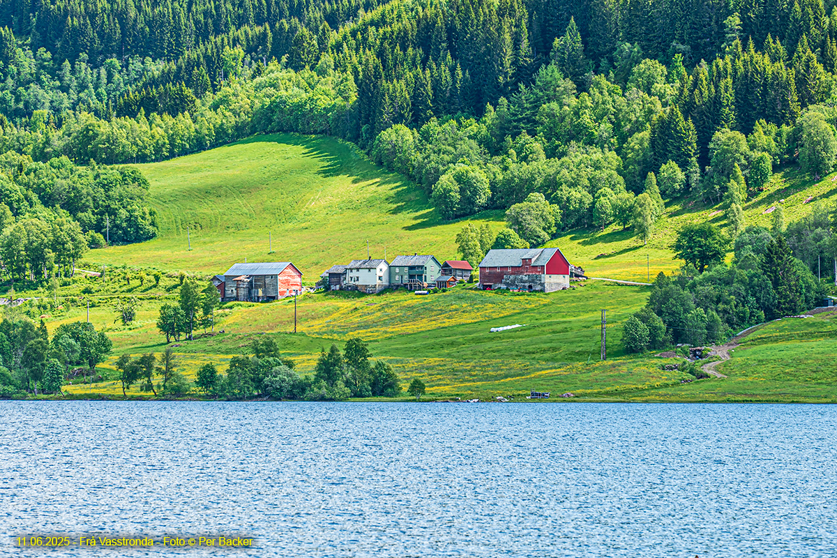 Frå Vasstronda