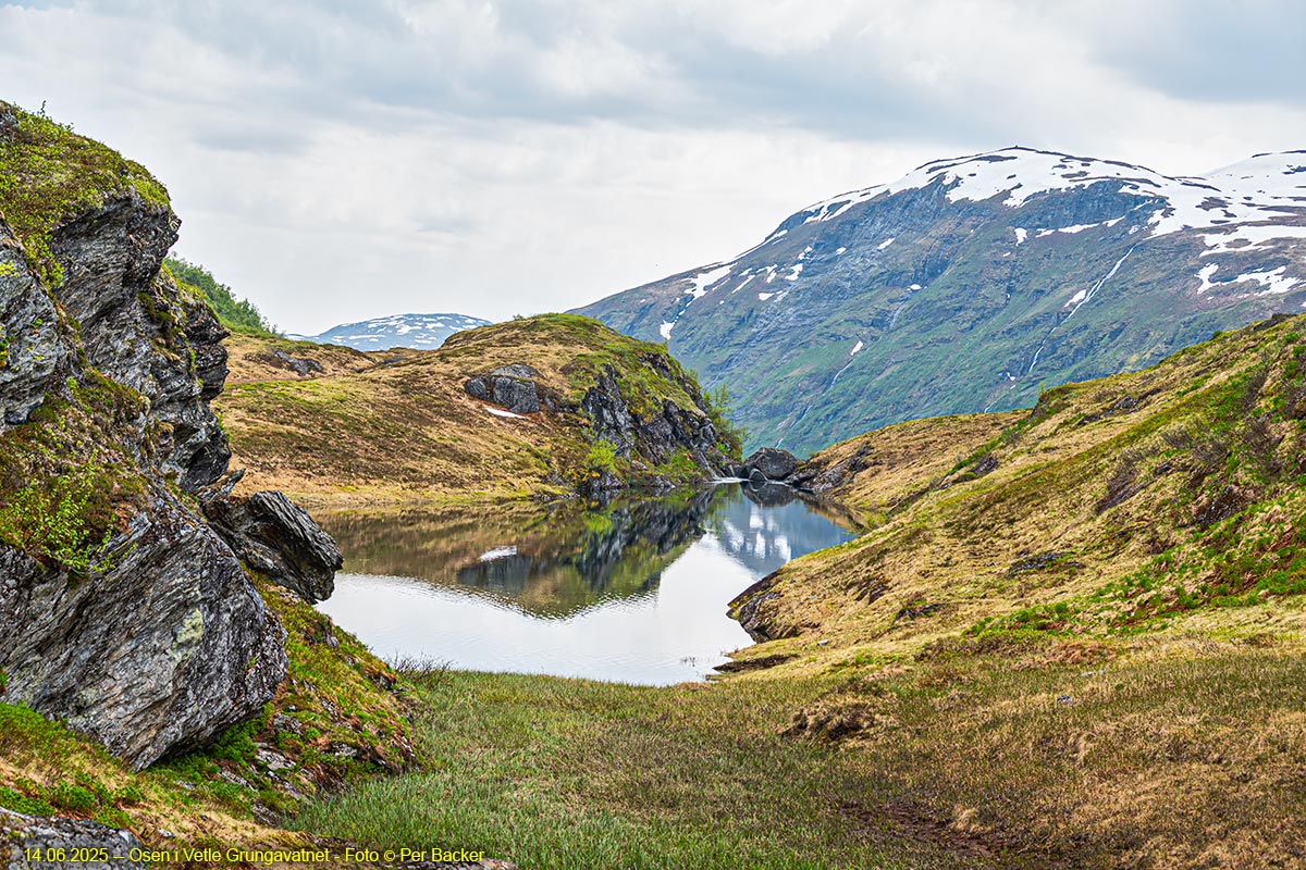 Osen i Vetle Grungavatnet