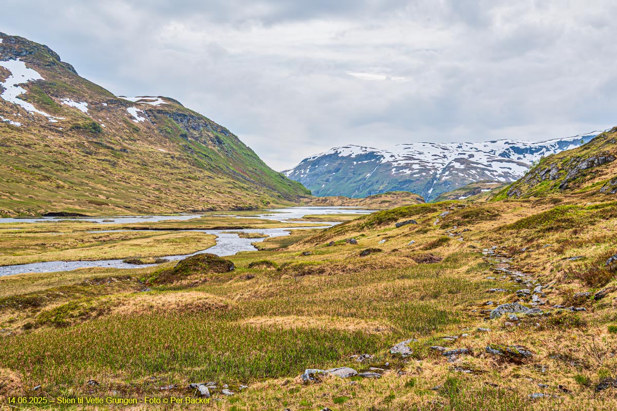 Stien til Vetle Grungen
