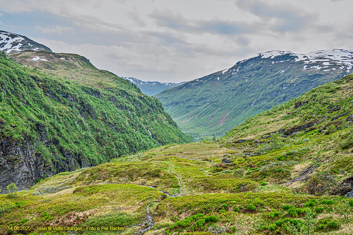 Stien til Vetle Grungen