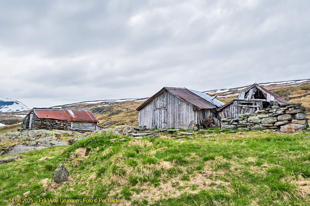 Frå Vetle Grungen