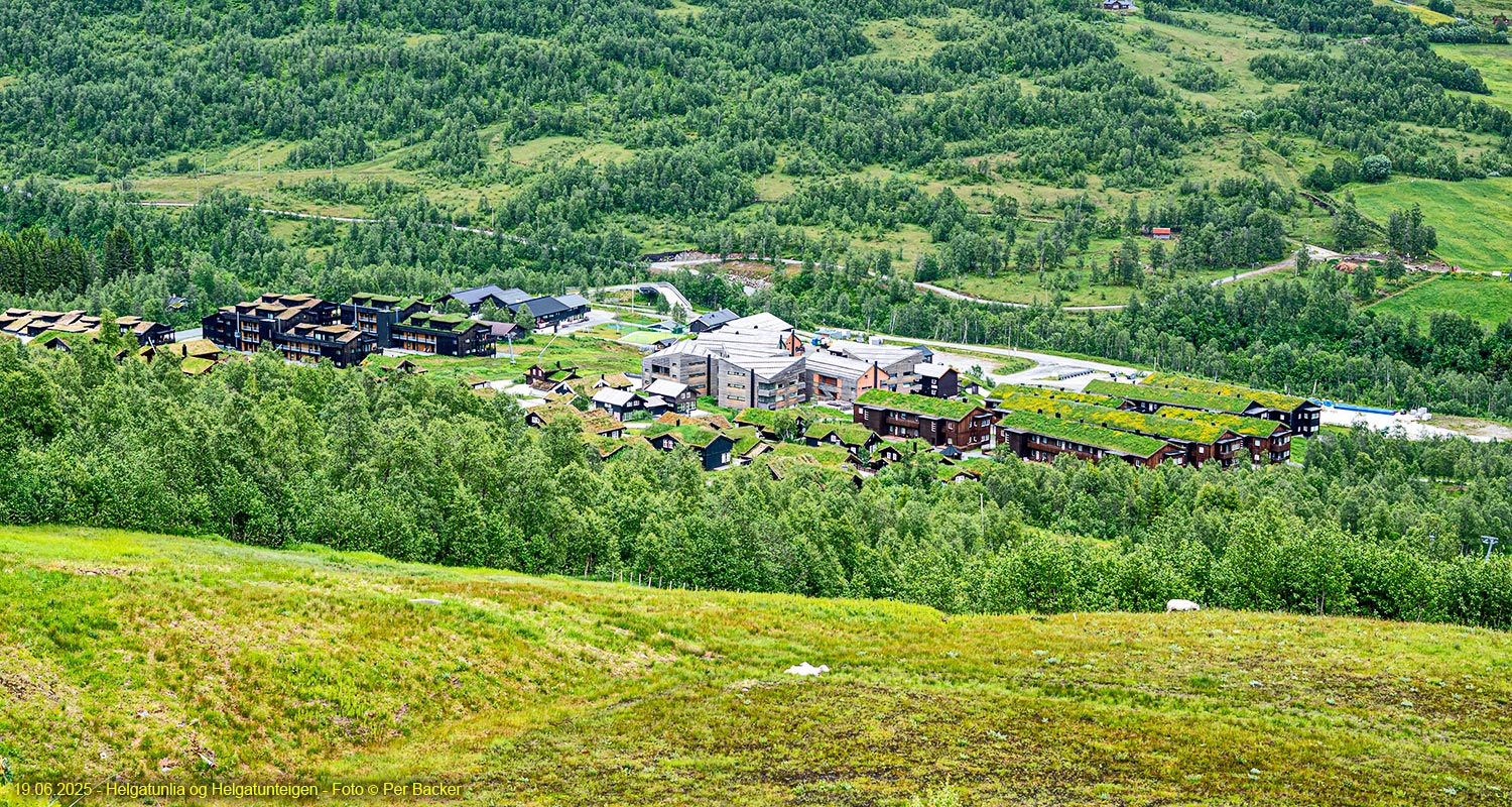 Helgatunlia og Helgatunteigen