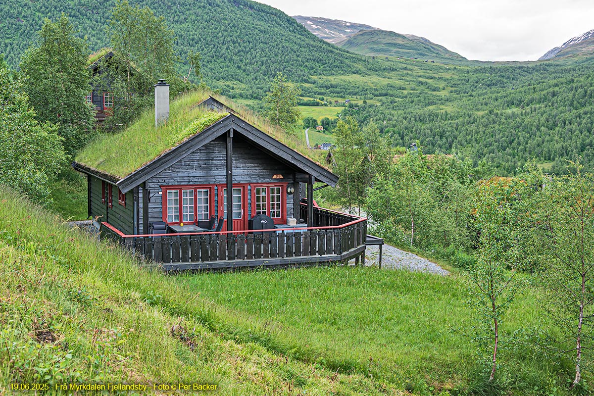 Frå Myrkdalen Fjellandby