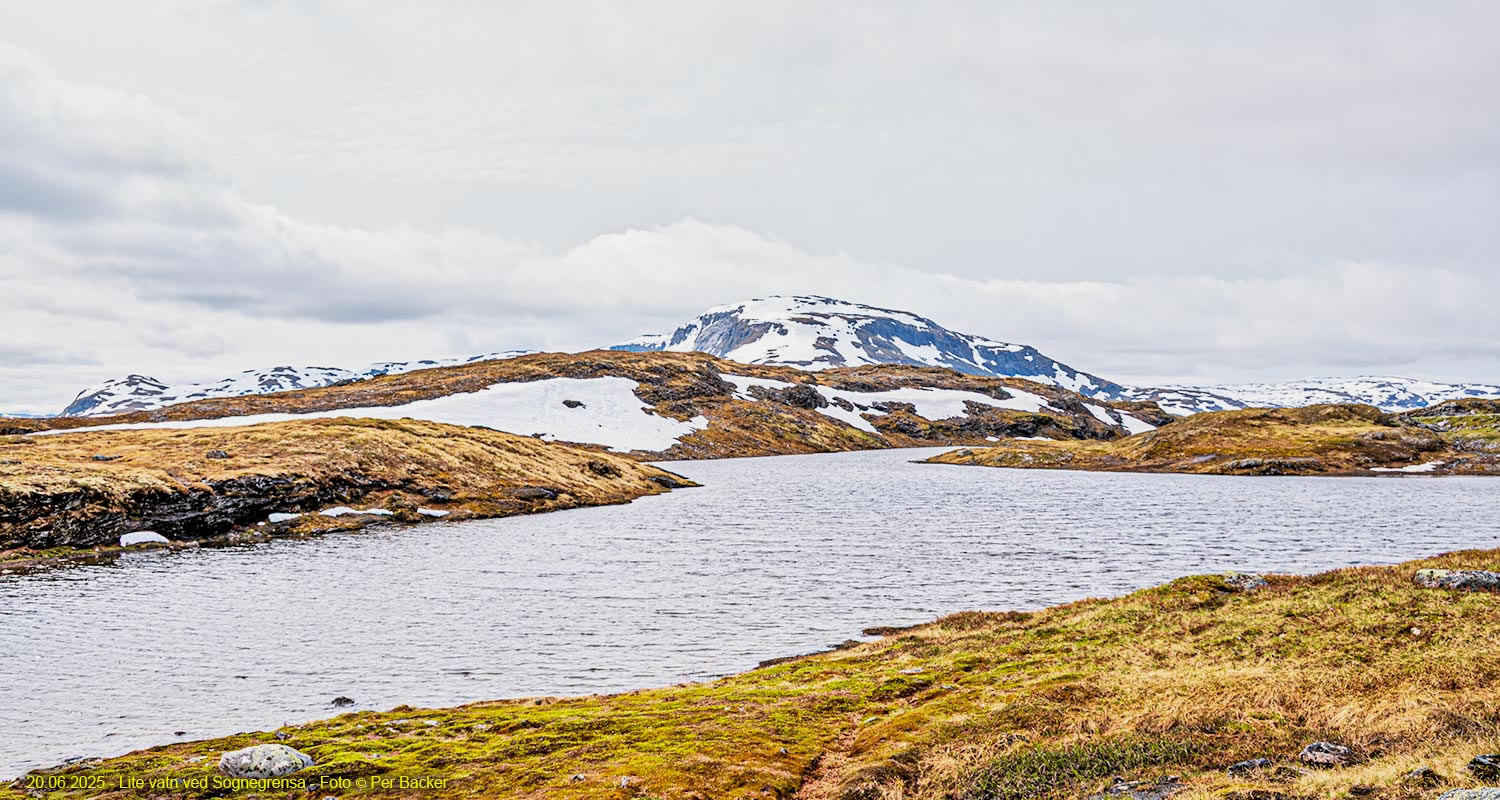 Lite vatn på Vikafjellet